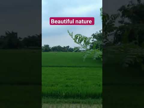 ek nigah mae //kumar sanu#shortsviral #viral#trendingshorts #shortsvideo #nature #beautiful #trendin