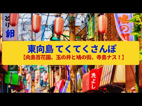 【てくてくさんぽ】東向島  江戸の庭園、赤線の名残の商店街〈向島百花園、鳩の街通り商店街〉Walk around Higashi-Mukojima,TOKYO JAPAN