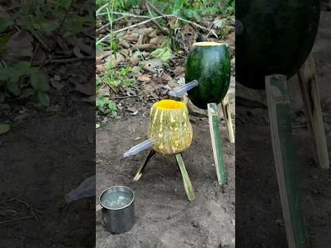 Survival Skills: single mom steam bad water in watermelon #camping #outdoors #bushcraft #survival