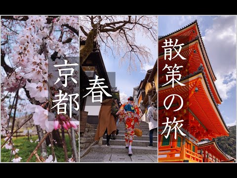 【旅行见闻】春日・樱花・古寺  真实记录在京都街头散步的一天