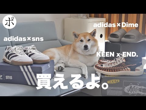 コラボシューズはオートで買う男【adidas × Dime】【KEEN × END.】【adidas × sns】