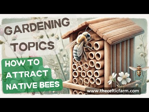 Native Bees Uncovered: Why Native Bees Are the Secret to a Thriving Garden! | How to Attract Them