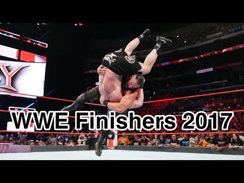 WWE All Finishers 2017 (male)