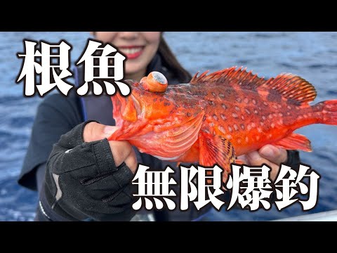 高級魚いっぱい！何が釣れたか分からないから面白い | ガッ釣り関西