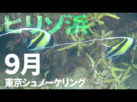 ＃７ヒリゾ浜でシュノーケリング（2019年9月）【東京シュノーケリング】