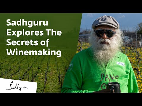 Sadhguru Explores The Secrets of Winemaking