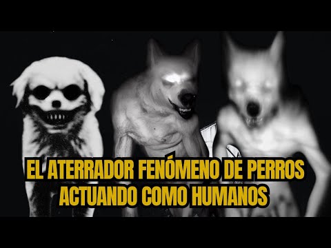 4 Aterradoras historias de perros actuando como humanos.