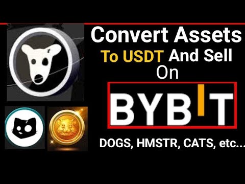 How To Convert To USDT On BYBIT - DOGS, CATS, HAMSTER, and Other Assets