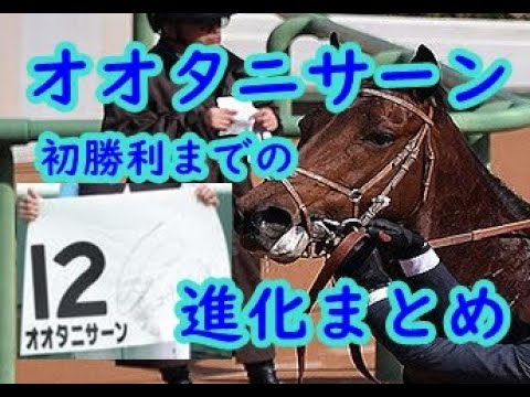 【競馬】競馬界の大谷翔平？オオタニサーンの進化(勝利までの3戦まとめ)