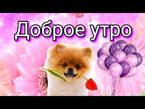 Доброе утро🌺Прекрасного дня🌺Музыкальная Открытка