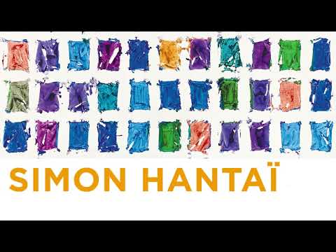 Bande annonce : "Simon Hantaï. L'Exposition du centenaire"