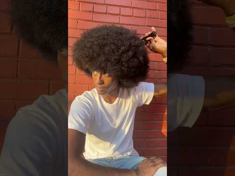 Short hair to Long hair #afro #curls #curlyhair #naturalhair #blackhair #hairstyles #curlyhairstyles