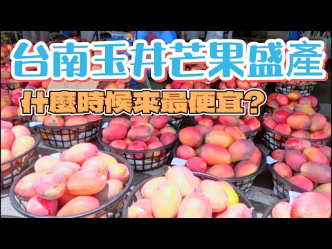 6月芒果盛產期價位可以出手嗎? #台南玉井青果集貨場｜怎樣挑才划算?｜真的值得來玉井買芒果嗎? #芒果 #愛文 #taiwan  #taiwan fruit #黑香芒果 #香水芒果