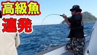 短時間で高級魚が釣れまくる釣りが楽しすぎた！