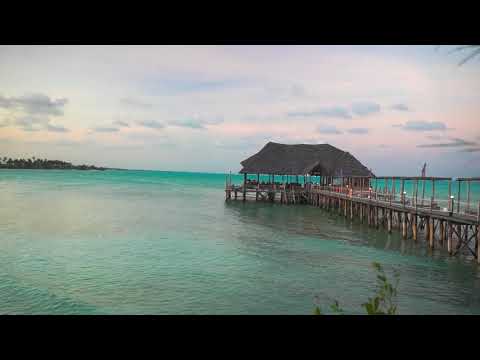 Beach Cafe | Copyright Free Video Footage