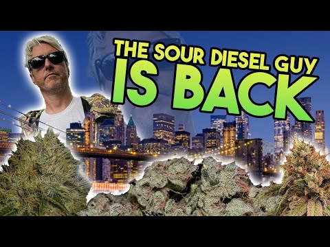 Sour Diesel Coming to NYC