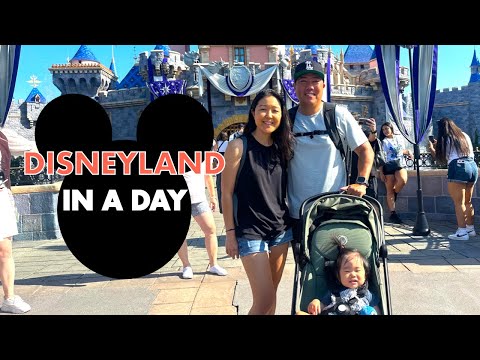 DISNEYLAND IN A DAY with a BABY!!