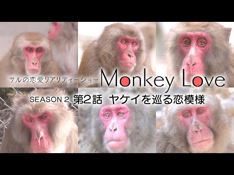 Monkey Love season2 第２話「ヤケイを巡る恋模様」