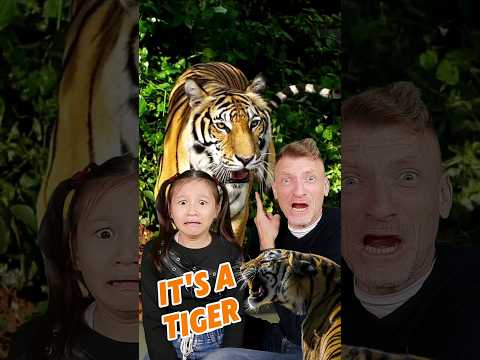 Ambush Predators like Lions amd Tigers | Nature's Wonders | STEM with Ailani's Little World