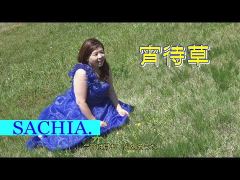 宵待草　ソプラノ歌手 SACHIA. さちあ　作詞　竹久夢二