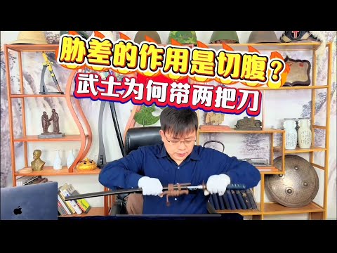 胁差的作用是切腹？日本武士为何佩戴两把刀？真实打斗有何作用？#刀剑 #冷兵器 #日本刀 #武士刀 #收藏品