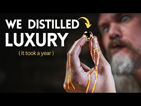 Distilled Luxardo is too classy for this world | Will It Distill