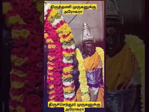 திருச்செந்தூர் முருகனுக்கு அரோகரா