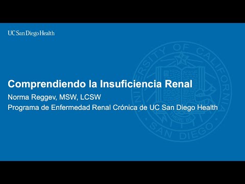 Comprendiendo la Insuficiencia Renal