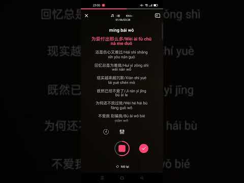 Không yêu cũng đừng lừa gạt 不爱我就别骗我 (Pinyin) karaoke