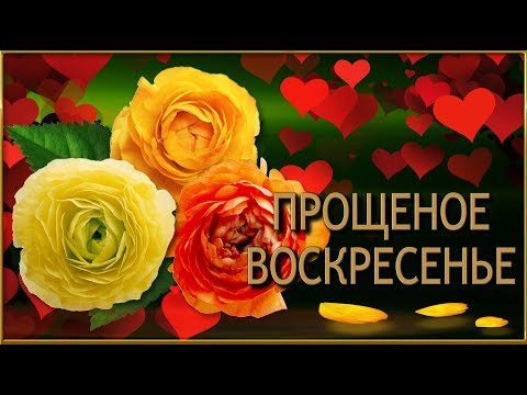 💖💖 Прости меня!💖 💖Музыкальная Открытка 4К