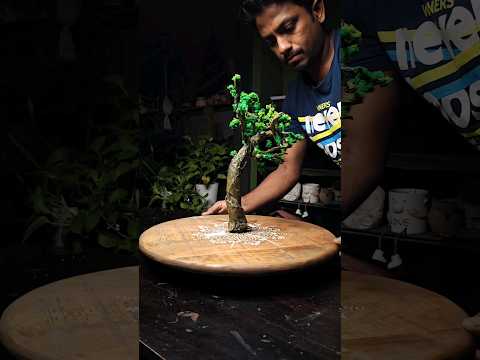 How to Make Tree Diorama #ganpatidecoration #manjummelboys