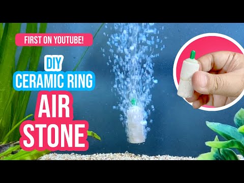 DIY Air Stone Hack: Boost Your Fish Tank with Oxygen 🐠🫧