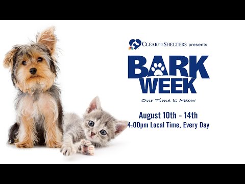 Bark Week w/ Chicago Animal Care & Control | Clear the Shelters | 1st Look TV