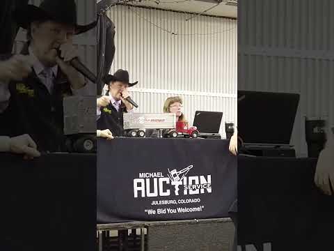 Big Boy Toy Auction Sold For How Much??                  #vintageauction #toyauction #publicauction