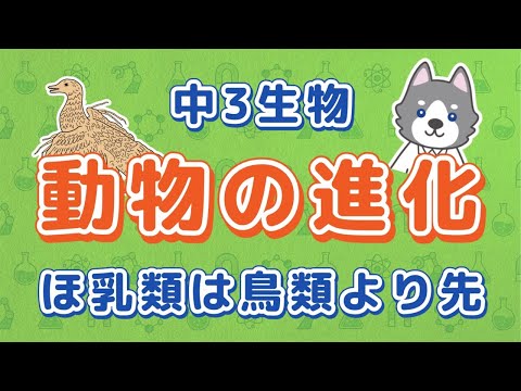 中3理科『動物の進化』＊証拠と過程を解説