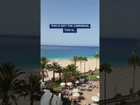 Caribbean Vibes, No Long Flights: TUI BLUE Riu Calypso, Fuerteventura! 🌅✈️ #hotel #travel #vacation