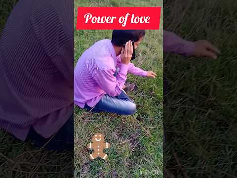 power of love #poweroflove #power #shortvideo #shortsfeed