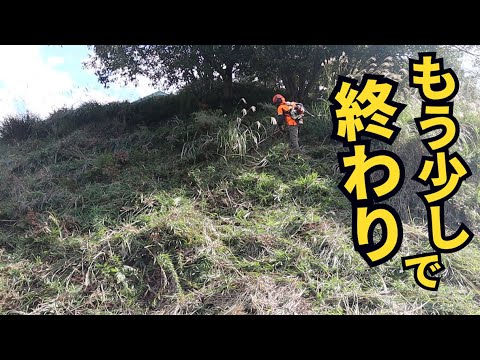 古墳の様な法面をもう少しで完了！の所まで草刈り