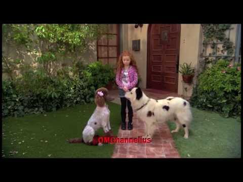 Stan Falls In Love - Dog With A Blog - Promo - Season 3 Episode 4 sneak peek clip - G Hannelius HD