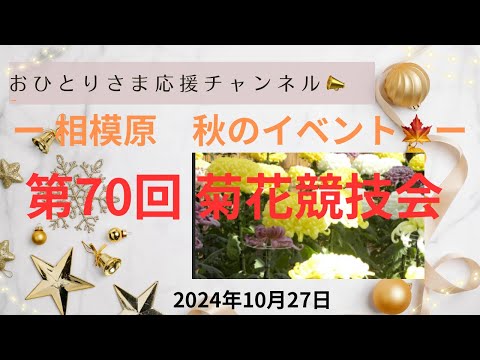 # 本日より開催❗️相模原市菊花競技会‼️ 2024年10月27日#おひとりさま応援チャンネル #おひとりさま