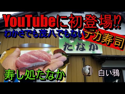 YouTubeに初登場！？寿し処たなかのデカ寿司