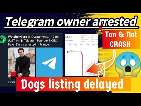 Dogs listing delayed || Telegram owner arrested || Market crash 😱