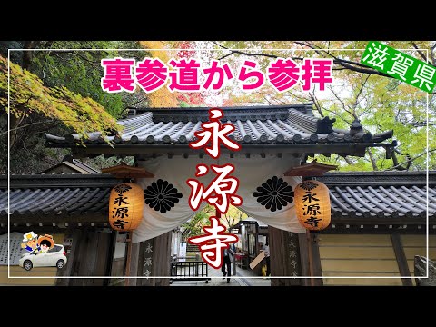 紅葉【永源寺】裏参道駐車場から参拝してみました。予約制で駐車場の心配は不要。裏参道にも紅葉が映えてゆっくり散策しながら参拝出来ます。120段の石段で参拝を躊躇されている方ご検討して下さい。