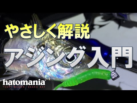 誰よりも優しくアジングを解説してみた【アジング入門 大阪湾】初心者様大歓迎 つりワゴン#019