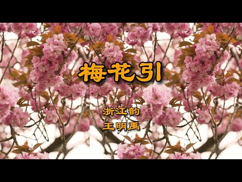 《梅花引》浙江韵