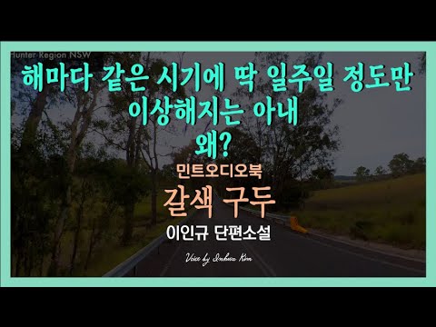 아내가 그저 강한 성격이라고만 알았는데... 이인규 단편소설 - 갈색 구두