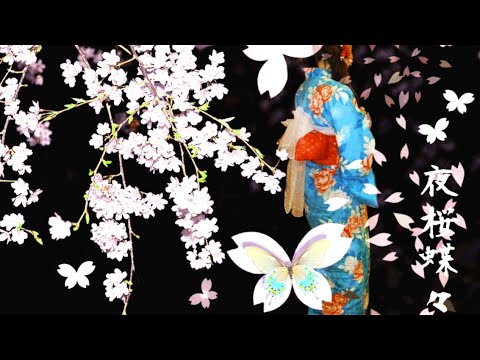 夜桜蝶々　　millkye326　　（オリジナル　あさみちゆき）