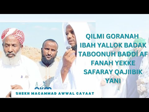 Qilmi goranah Ibah Yallok badak taboonuh Baddí Af fanah yekke Shekh Macammad Awwal Cayaat