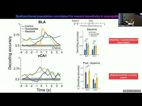 Decoding Stress Susceptibility From Activity in Amygdala-Ventral Hippocampal Networks