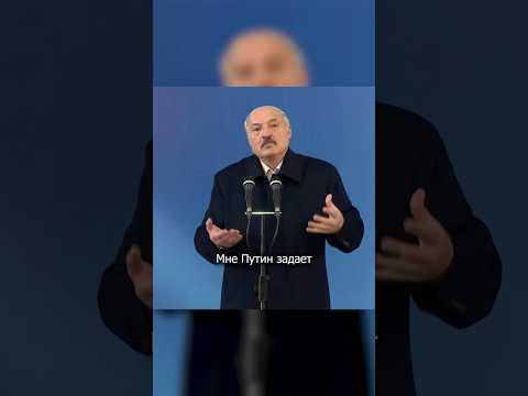 Лукашенко на коленях перед Путиным #shorts